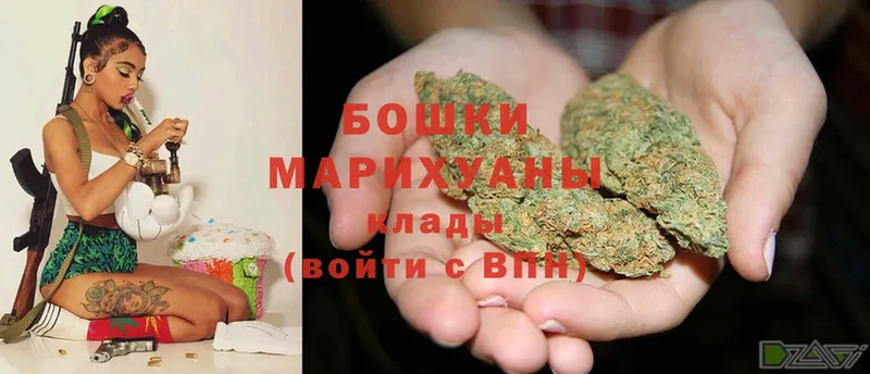 shop как зайти  Амурск  Шишки марихуана SATIVA & INDICA 